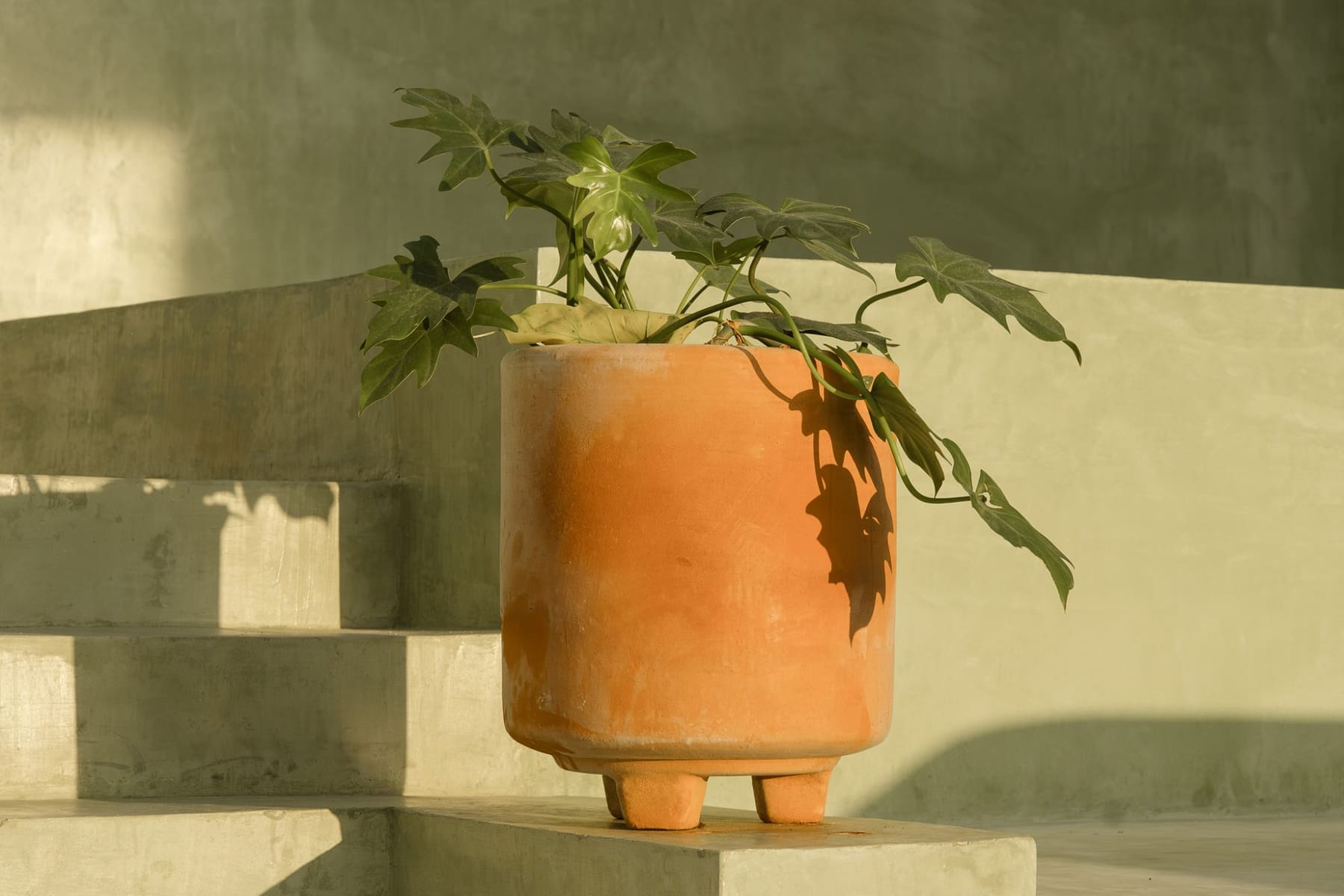Terracotta and green stucco